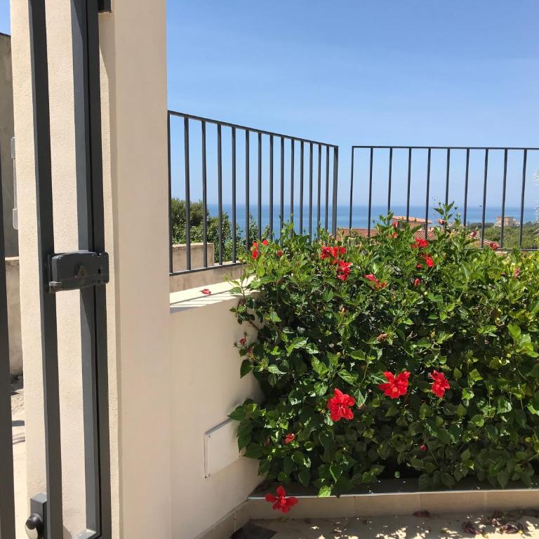 La casetta di Giò - Vacation Home - 26