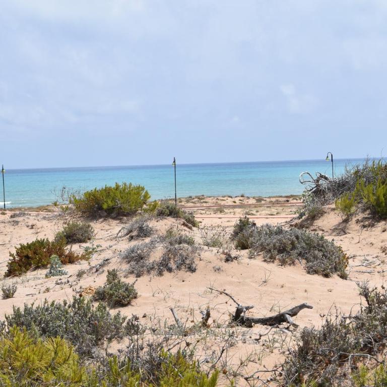 Apartment Viñamar III - Sunny La Mata - Apartamento de 1 dormitorio - 33