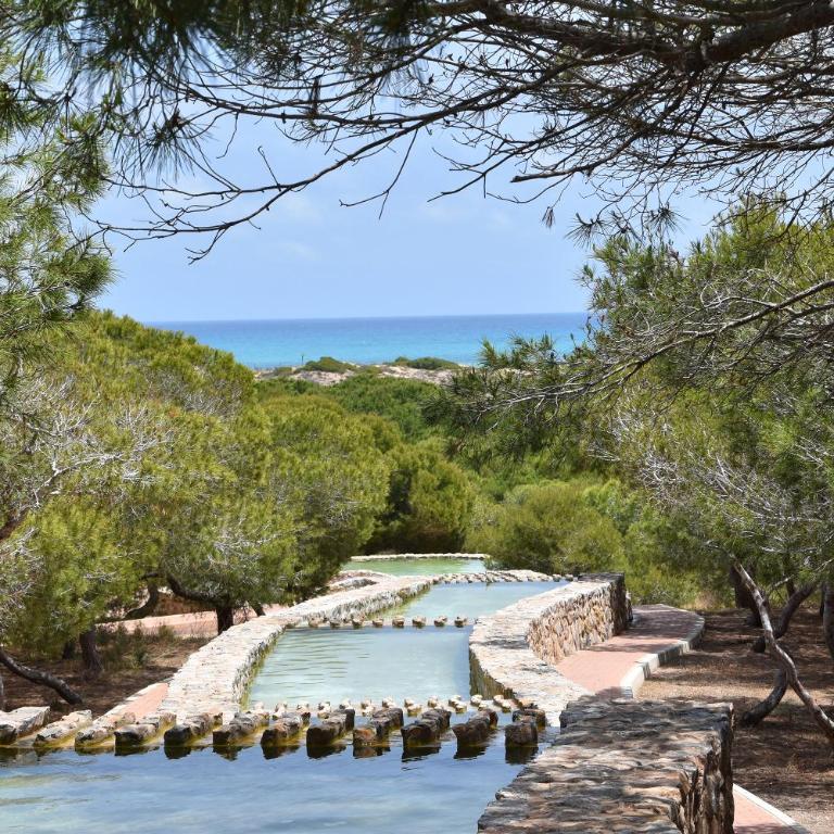 Apartment Viñamar III - Sunny La Mata - Apartamento de 1 dormitorio - 36