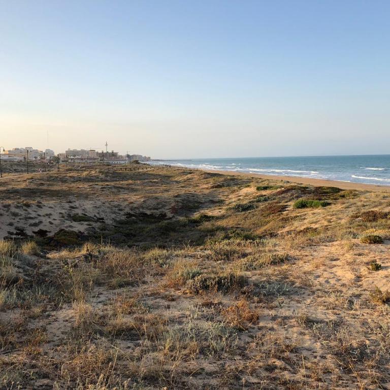 Apartment Viñamar III - Sunny La Mata - Apartamento de 1 dormitorio - 34