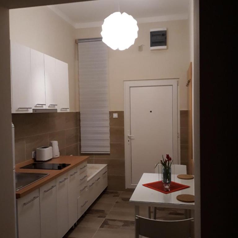 Belgrade 1911 apartment - Apartman sa 1 Spavaćom Sobom - 7