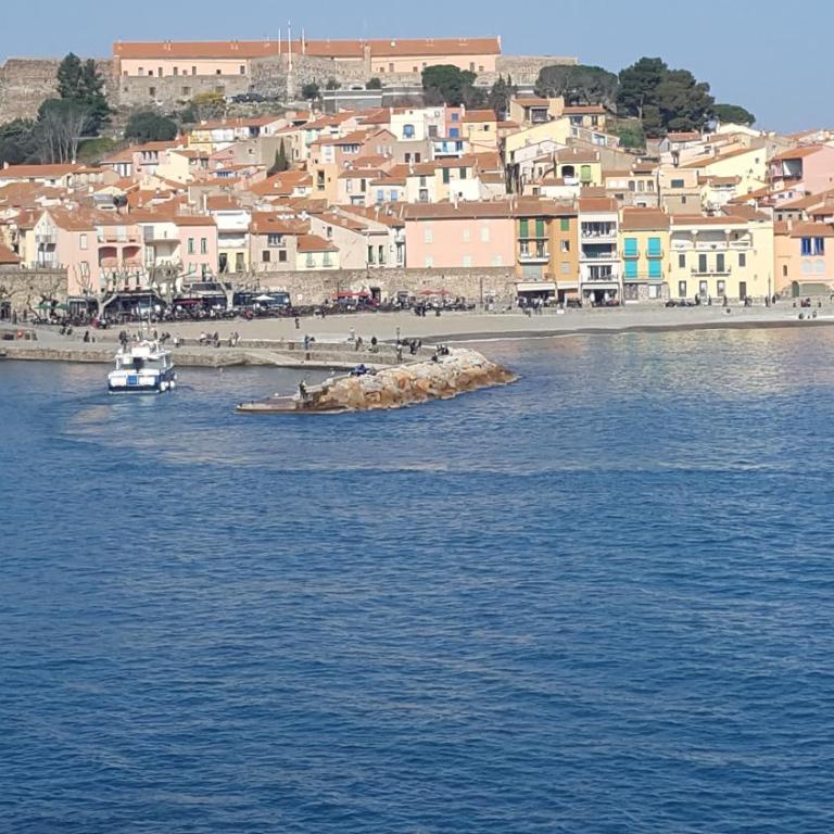 COLLIOURE tres bel appart a 150 metres des plages avec jardin prive et parking dans residence securisee - Apartamento de 2 dormitorios - 20