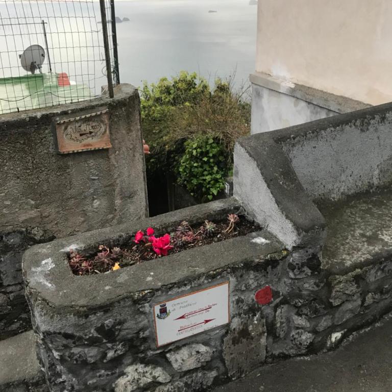 Maison Rosa - Appartamento con 1 Camera da Letto - 58