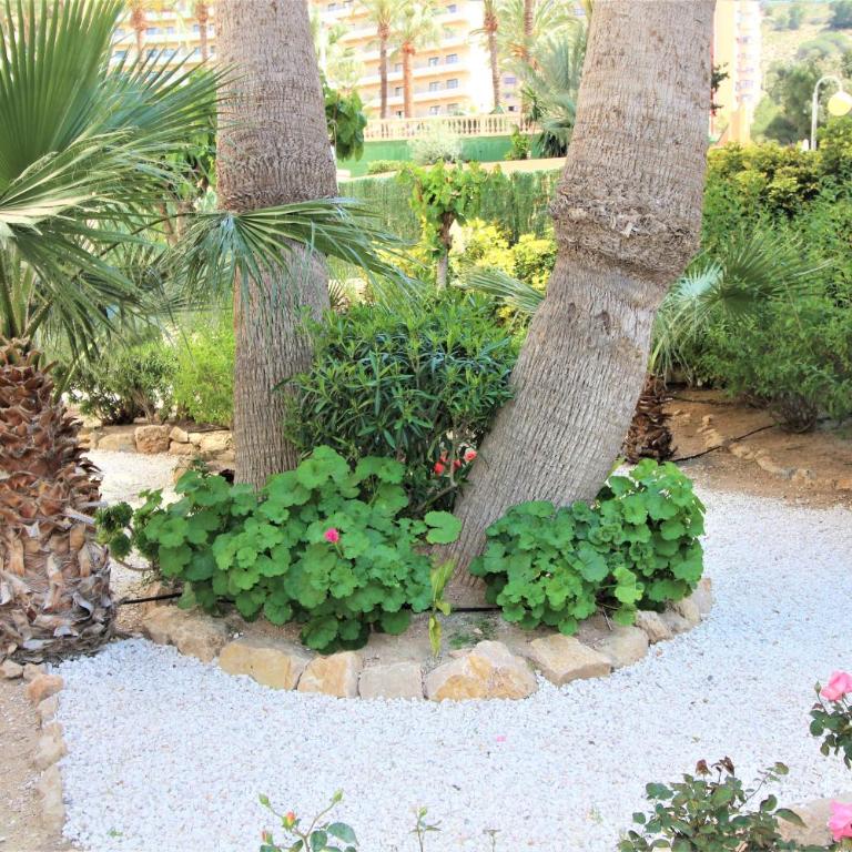 Atico Levante Torre Montecarlo - Apartamento de 2 dormitorios - 28