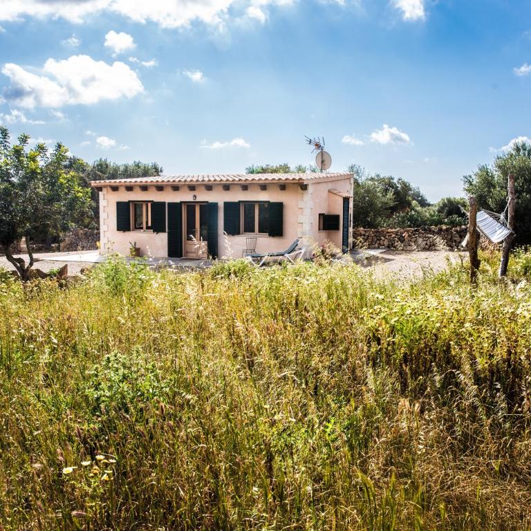 Finca Agroturismo Sa Cova den Borino - Bungalow with Terrace - 5