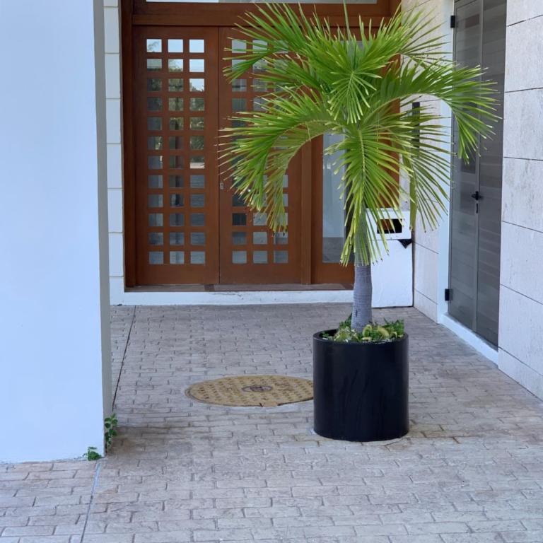 La Amada condo with Marina View - Apartment mit 2 Schlafzimmern - 80