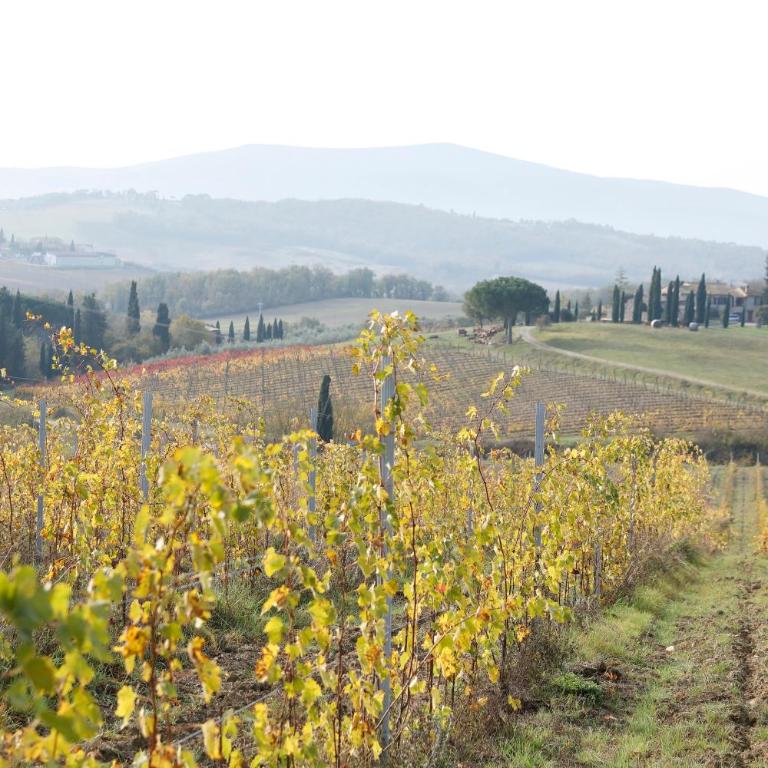 AZ.AGR.POGGIO REGINI - Appartamento con 2 Camere da Letto - 13