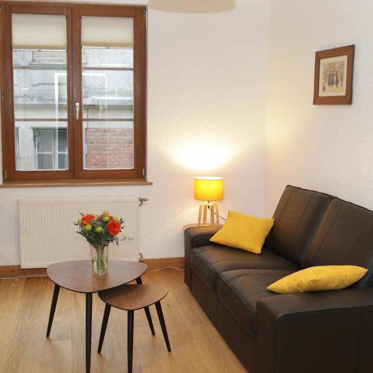 Au buisson de roses - Appartement 1 Chambre - Vue sur Ville - 9