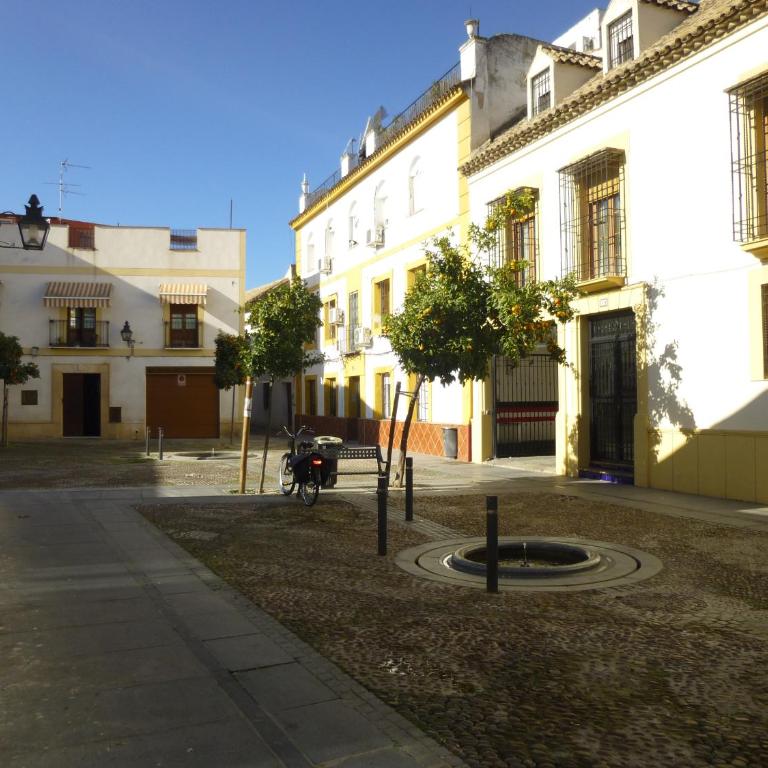 Mirador de Badanas - Apartamento de 1 dormitorio - 9