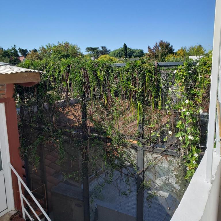 Complejo La Naranjita - Apartamento de 2 dormitorios - 10