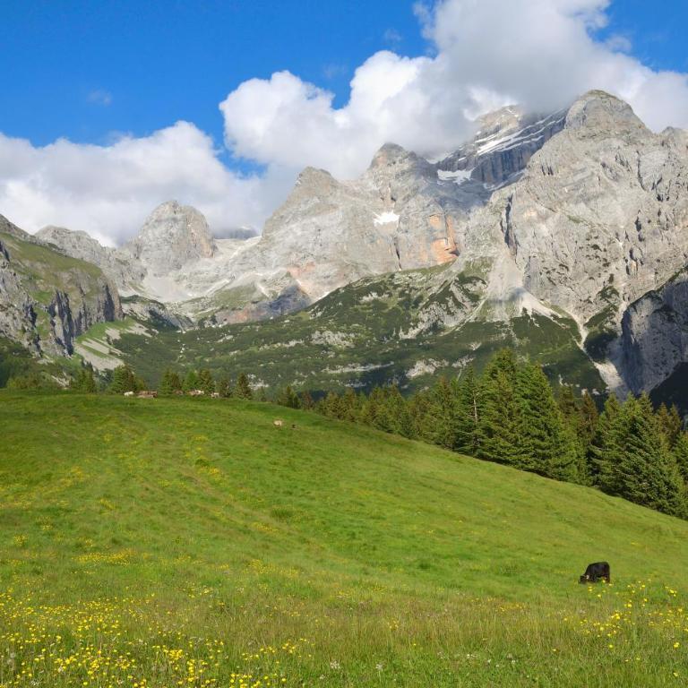 Baita Valon - Alpine Hideaway - Chalet - 57