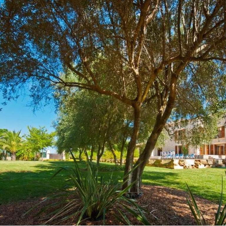 Finca Santa Maria - Casa de 4 dormitorios - 22