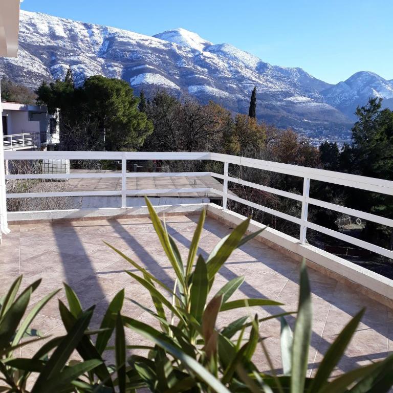 Apartments Jovanic with 2 bedrooms - Deluks Apartman - 2