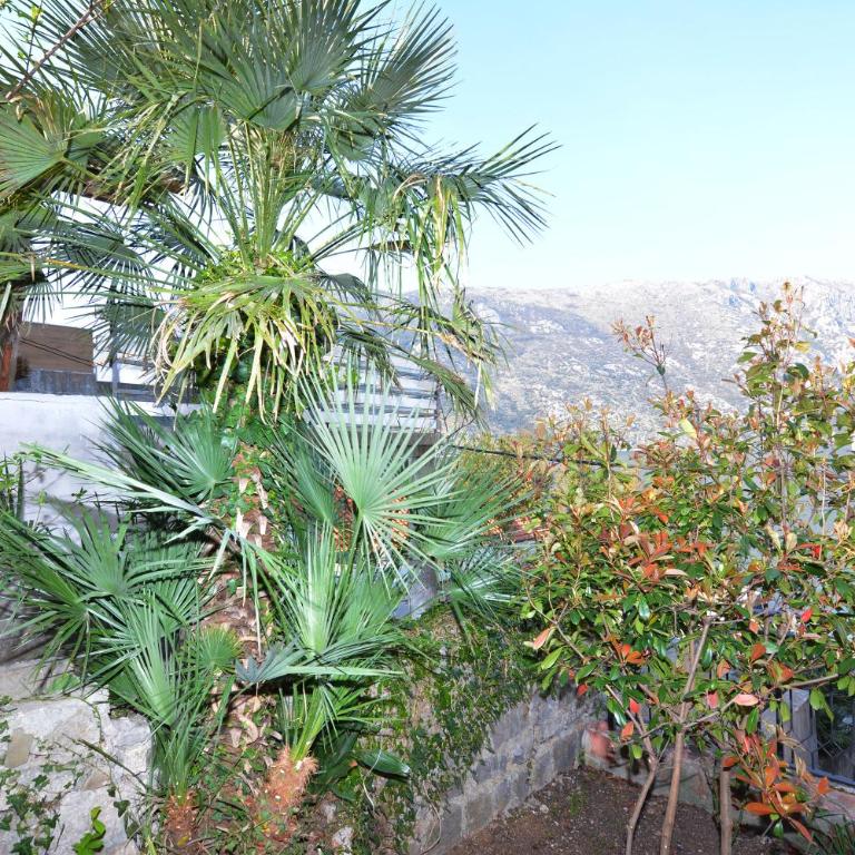 Holiday Home Cattaro - Two-Bedroom House - 9