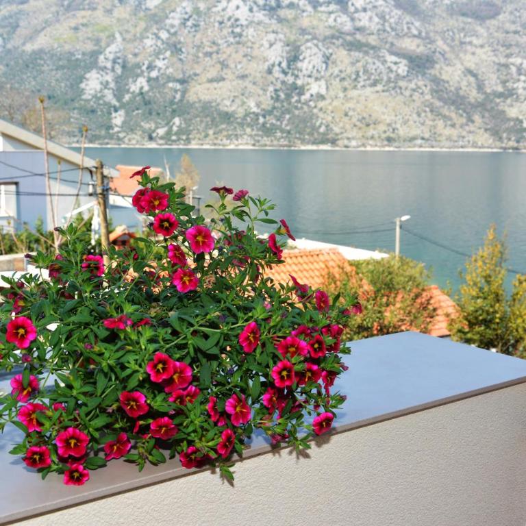 Holiday Home Cattaro - Apartment with Sea View - 1