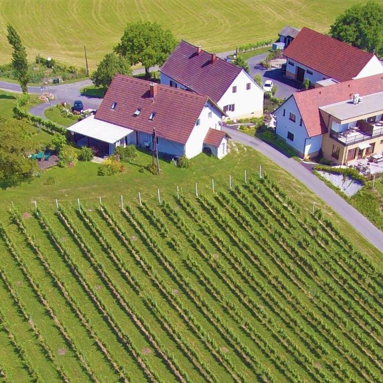 Weingut und Gästezimmer Perner - Doppelzimmer - 8