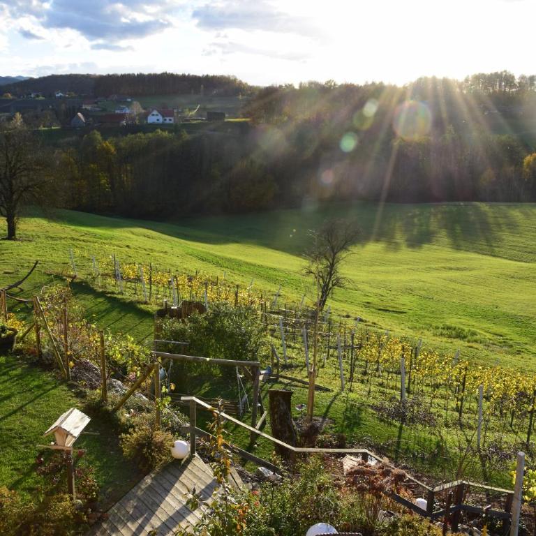 Weingut und Gästezimmer Perner - Doppelzimmer - 7