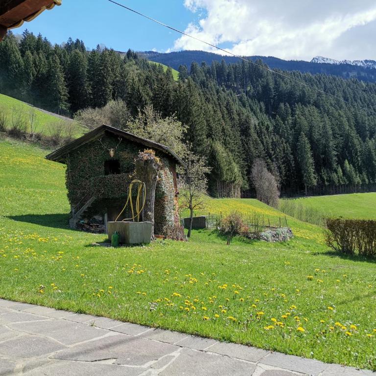 Apart Ponholz - Appartamento con 3 Camere da Letto - 34