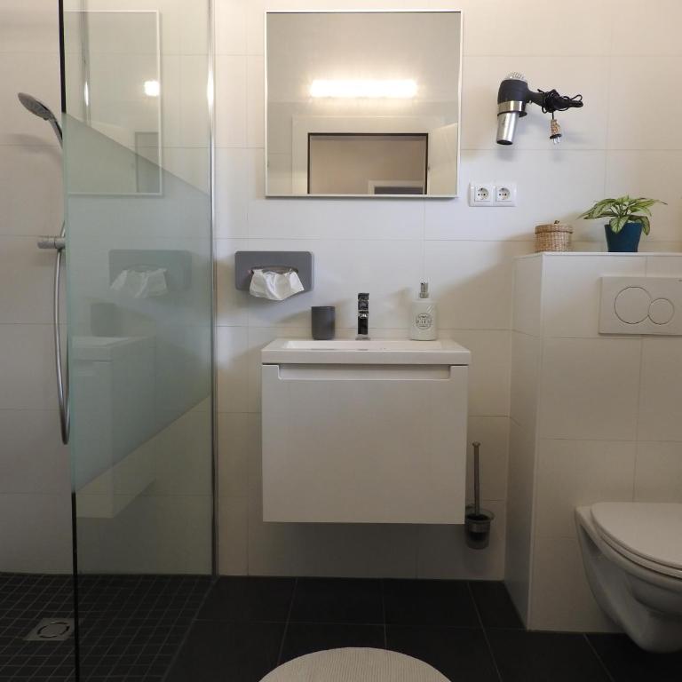 Warmbad Apartments - Apartment mit 1 Schlafzimmer und Bergblick - 9