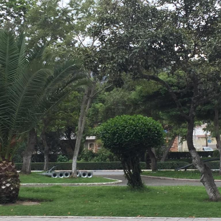 Apartamento Rinconcito de Luz - Three-Bedroom Apartment - 1