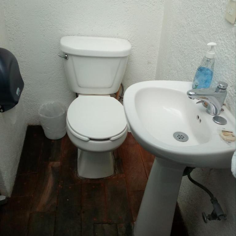Hostal Cuija Coyoacan Berlin 268 Coyoacan - Chambre Simple avec Salle de Bains - 1