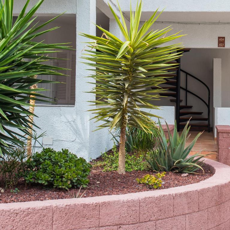 Royal Sea View Villas Canarias - Apartamento con terraza - 29