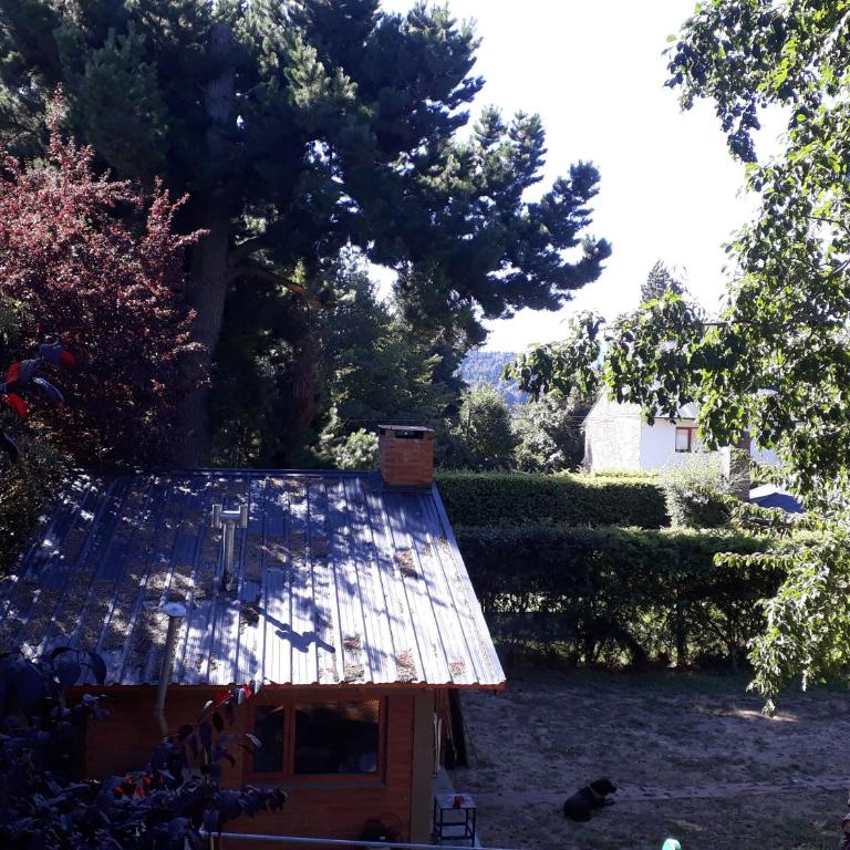 Monoambiente Playa Bonita - Apartamento de 1 dormitorio - 16