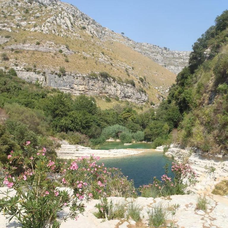 Il Pozzo e l'Ulivo - just 200 meters from the Metro - - Two-Bedroom House - 18