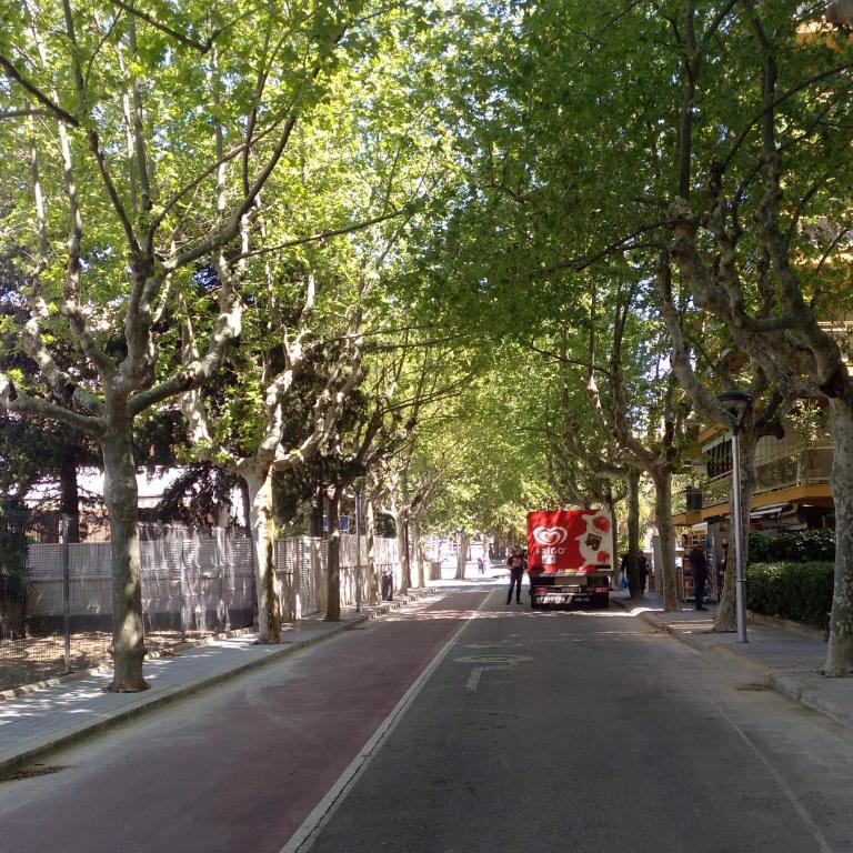Salou luz y color - Apartamento - 35