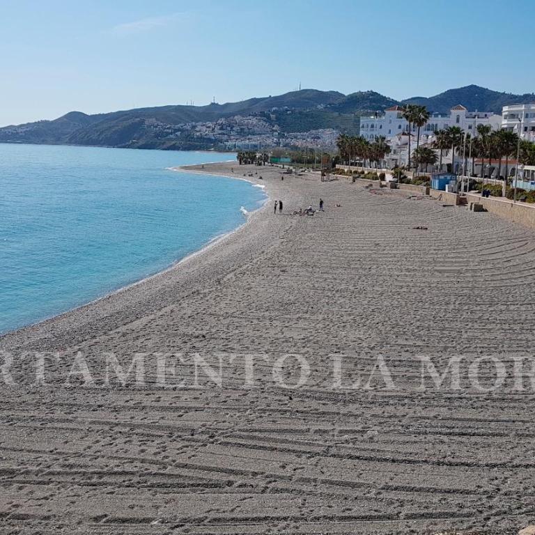 Apartamento La Morera - Apartamento - 1