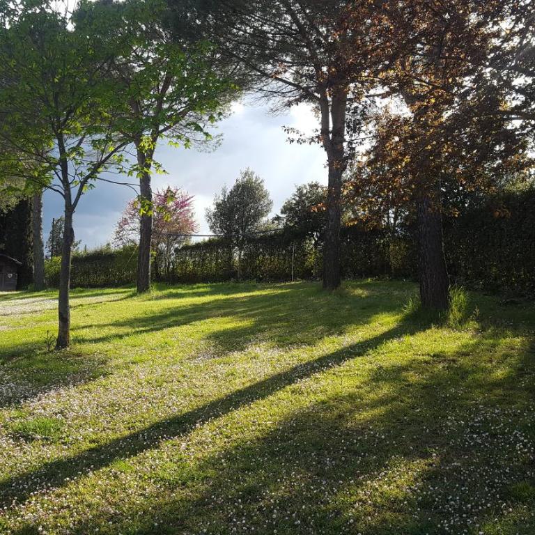 DAGO Farmhouse - Camera Deluxe - 18