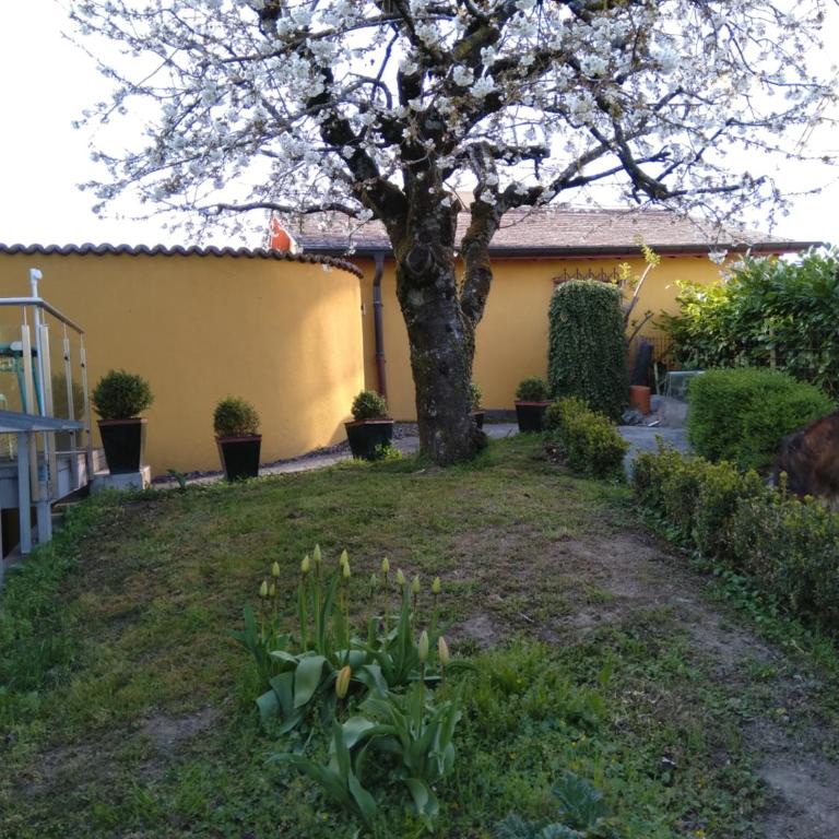 Swiss Borzoi House - Doppelzimmer mit Seeblick - 1