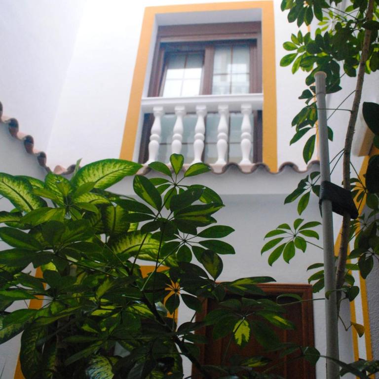 Hostal Costa De La Luz - Habitación Doble Económica - 1 o 2 camas - 1