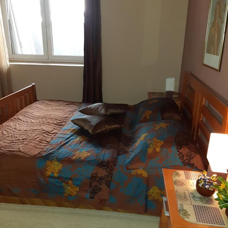 Apartments Ant - Apartman sa Pogledom na Vrt - 20