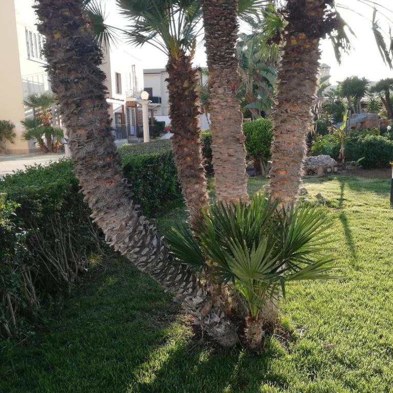 Casa Vacanza Blue Sea - Appartamento - 65