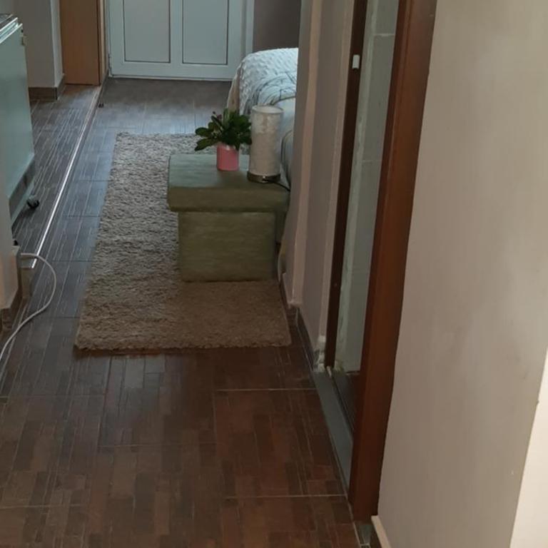 Apartments Ant - Apartman sa Pogledom na Vrt - 13