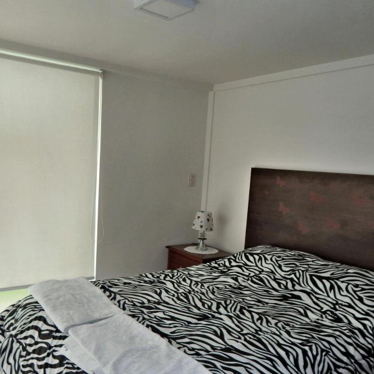 Minimalist Department - Apartamento - Planta baja - 15