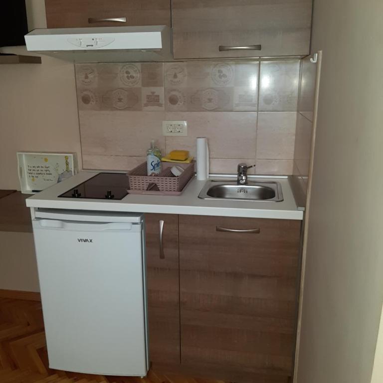 Apartments Ant - Apartman sa Tušem - 6