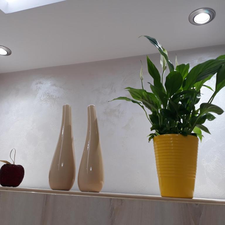 Sweet Yellow Apartment - Apartman sa 1 Spavaćom Sobom - 17