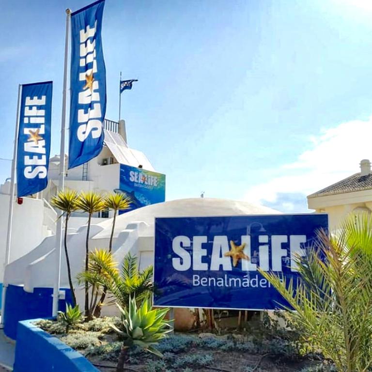 Benalmadena Costa, Estudio Las Naciones - Appartamento con 1 Camera da Letto - 17