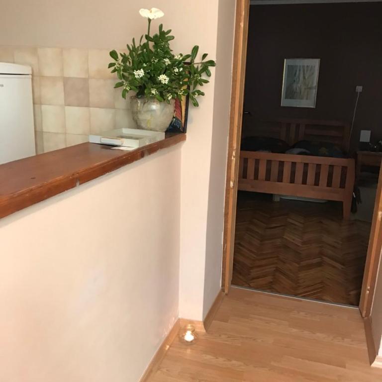 Apartments Ant - Apartman sa Pogledom na Vrt - 3