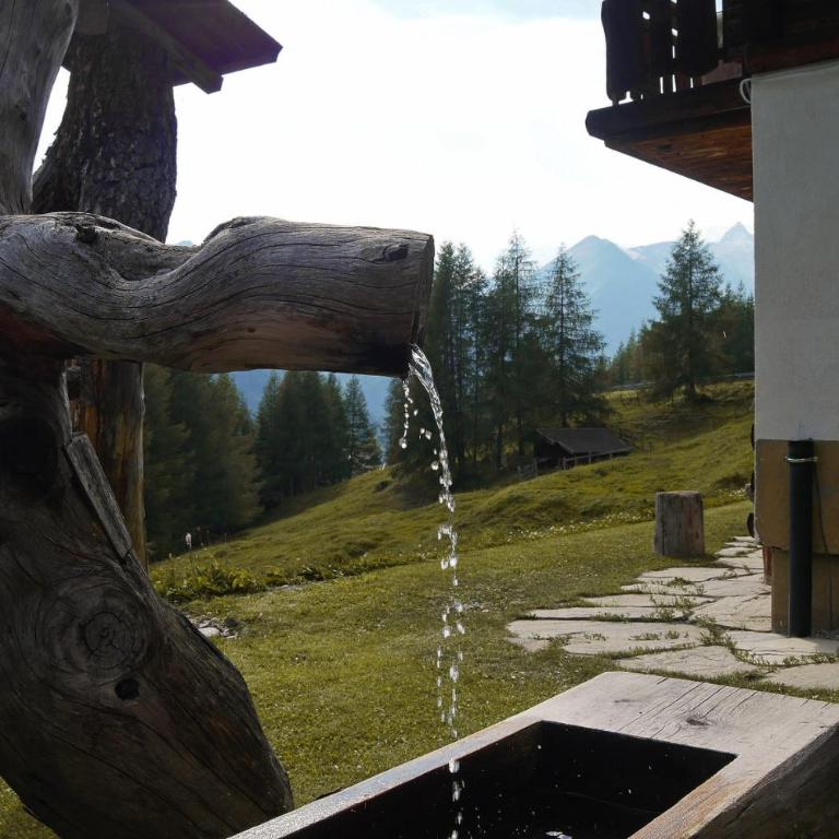 Ferienhaus Anderles-Alm - Ferienhaus - 9