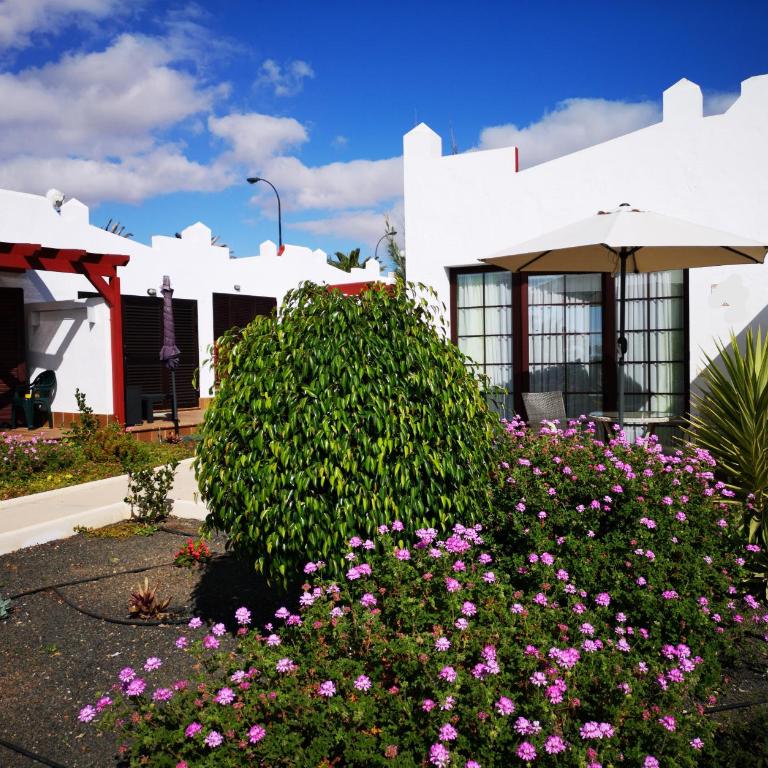 Bungalow tranquillo e soleggiato - One-Bedroom House - 15