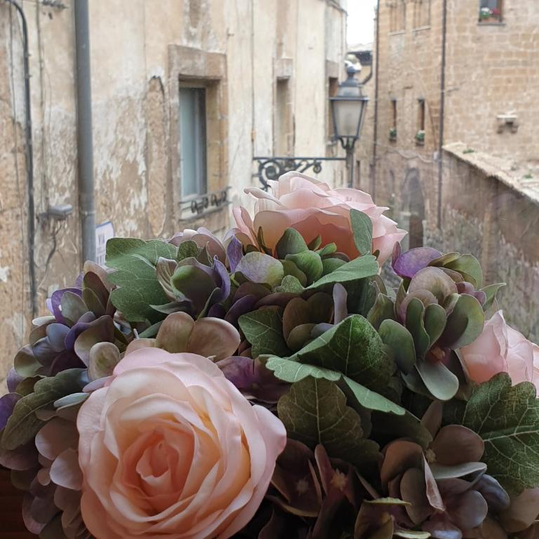 Appartamento Mia - Appartamento - 11