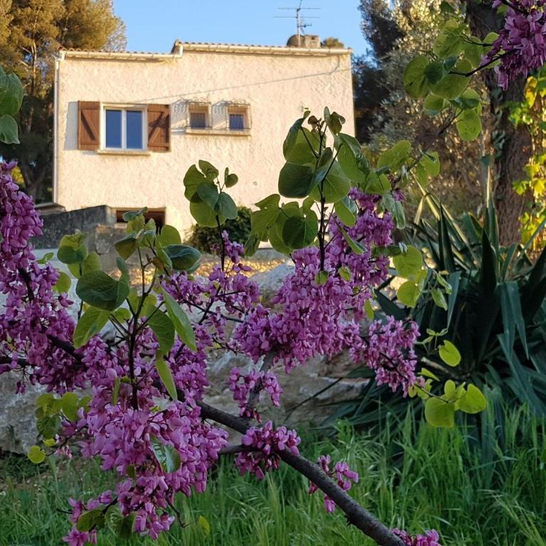 La Champanel Maison vue Mer - Villa - Vue sur Mer - 1