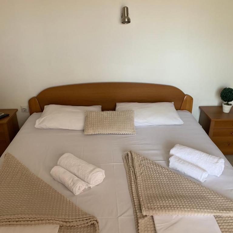 Guesthouse Orlović - Dvokrevetna Soba sa Bračnim Krevetom i Balkonom - 3