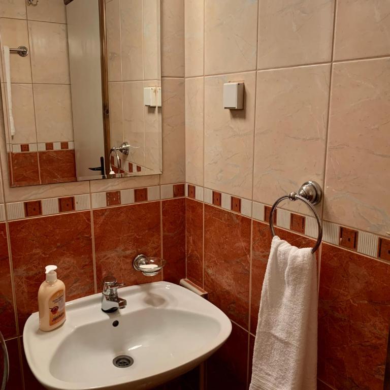 Guesthouse Orlović - Dvokrevetna Soba sa Bračnim Krevetom i Balkonom - 14