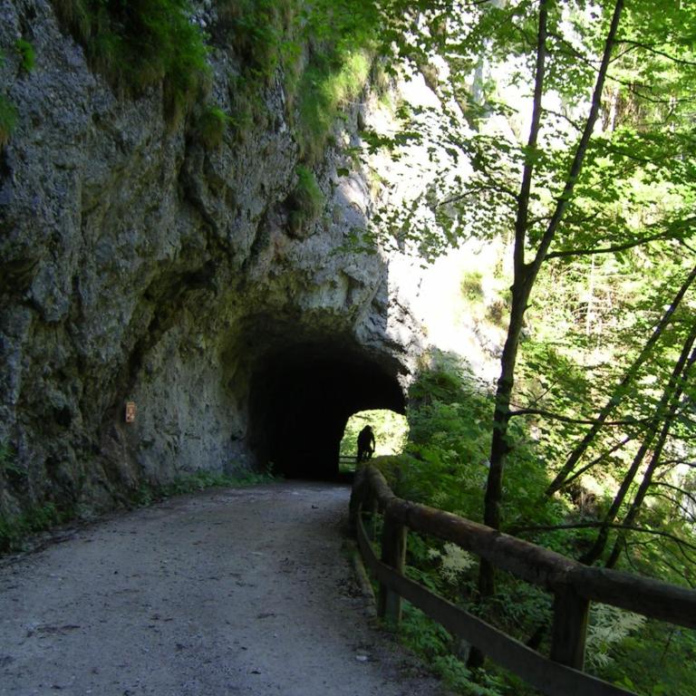 Gasthof Hensle - Doppel- oder Zweibettzimmer - 29