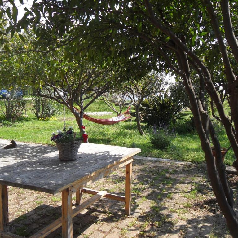 Locazione Turistica Casa in Campagna - Appartamento con 2 Camere da Letto - 18