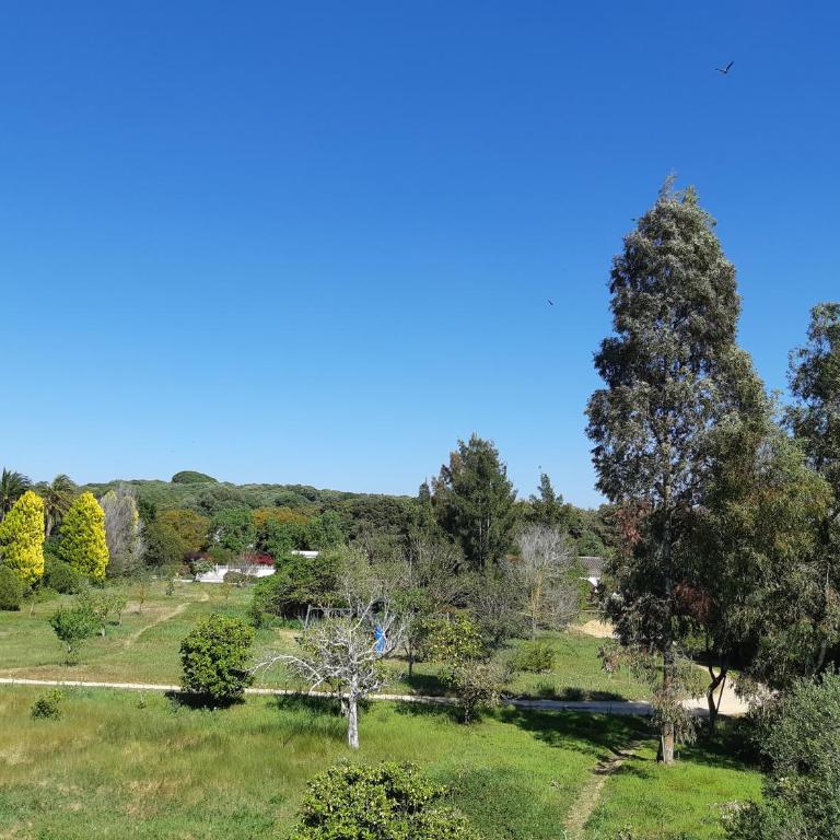 Cortijo del Sueño - Villa Superior - 36